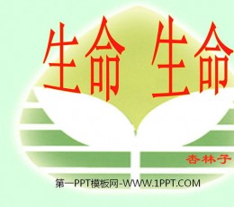 《生命生命》PPT课件