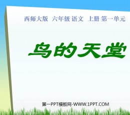 《鸟的天堂》PPT课件