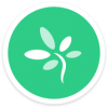 TimeTree V1.3.1 安卓版