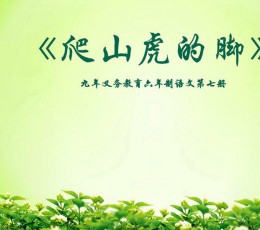 《爬山虎的脚》PPT课件