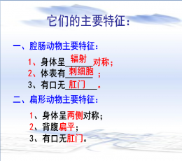 《腔肠动物和扁形动物》ppt课件