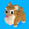柯基狗狗追骨头（Corgi Pop） V1.0.0 免费版