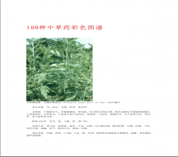 中草药图谱大全