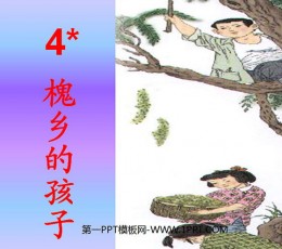 《槐乡的孩子》PPT课件