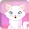 照顾小猫猫 V1.0 安卓版