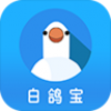 白鸽宝(保险服务) V1.0.3 安卓版