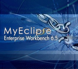 myeclipse V6.5.0 正式版