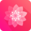 速美 V3.0.2 安卓版
