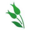 薏米医生 V2.6.8 安卓版
