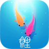 鲤 V1.0.0 安卓版