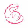 小贝壳 V1.6.1 安卓版