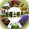 新疆土特产 V1.1 安卓版