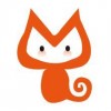 启明云小猫 V1.1.5 安卓版