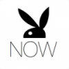Playboy NOW V3.1.2 安卓版