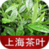 上海茶叶 V1.0 安卓版