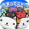 猫田 V1.00.04 安卓版