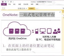 Microsoft OneNote(数字笔记本)