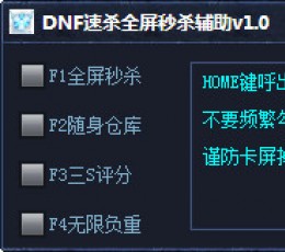 DNF速杀全屏秒杀辅助 V1.0 免费版