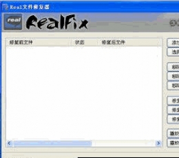 Real文件修复器 V4.2.28 英文绿色版