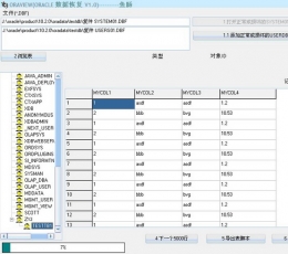 鱼肠ORACLE数据库修复软件 V1.2 