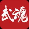 武魂 V1.0 安卓版