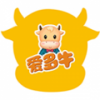 教师助手 V3.1 安卓版
