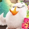 愤怒的小鸟：假日免费版 V1.0 安卓版