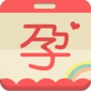 孕妈每一天 V3.1.1 安卓版
