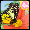 小蝴蝶 V1.0.10 安卓版