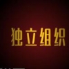 独立组织 V1.0 安卓版