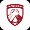 伍兵 V1.0 安卓版