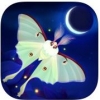 蝴蝶之星夜 V1.0 苹果版