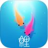 鲤 V1.0.0 电脑版