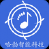 智能闪光鞋 V1.0 安卓版