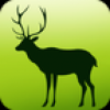 MY ANIMAL V1.0.0 安卓版