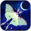 Flutter: Starlight V1.12 iPhone版