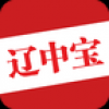 辽中宝 V1.0.4 安卓版