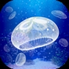 海蜇养成 V1.0 免费版