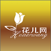 花儿网 V1.0 安卓版