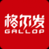 江淮格尔发 V1.0 安卓版