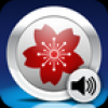 Nemo日语学习 V4.6.4 安卓版