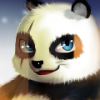 熊猫龙战士 V1.0 免费版