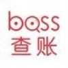 BOSS查账 V1.0 安卓版