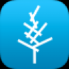 ľѧϰ׿_ľѧϰֻAPPV1.0׿
