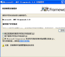 .NET Framework V3.0