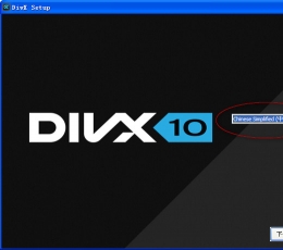 DivX高清视频解码器-DivX V10.2 