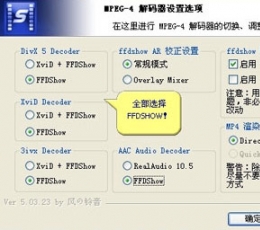 暴风影音解码器 V4.0 绿色完整版