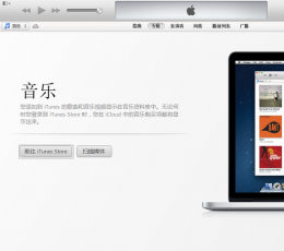 iTunes 10.5 