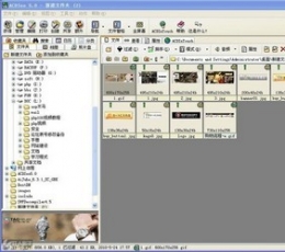 ACDSee 5.0 正式版