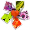 Arcsoft Photo+ Mac版 V3.0.90138 